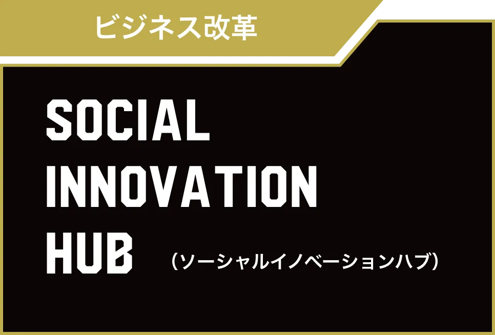 SOCIAL INNOVATION HUB