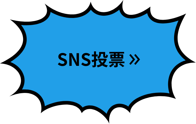 SNS投票