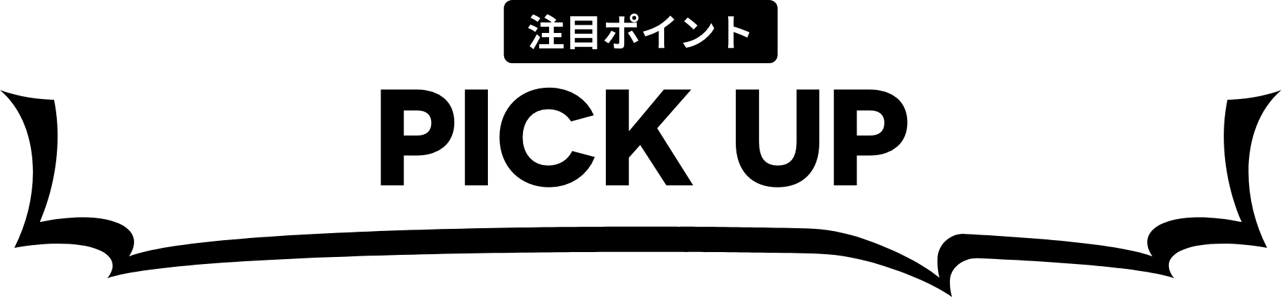 注目ポイント