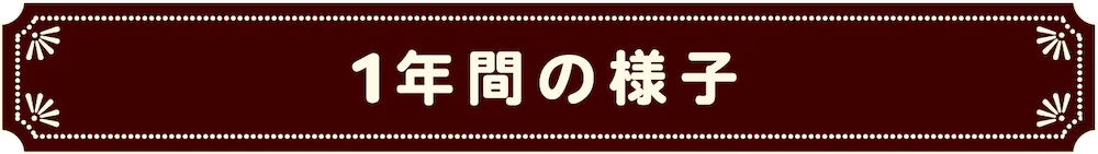 1年間の様子