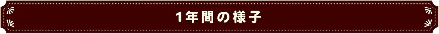 1年間の様子