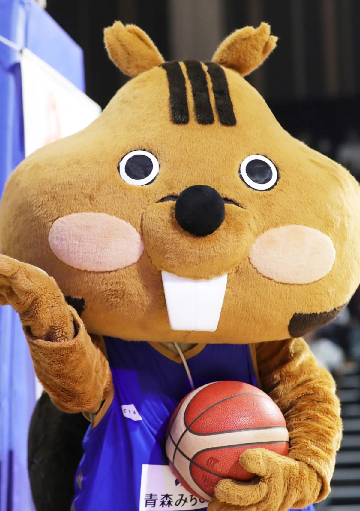 マスコットの試合の様子