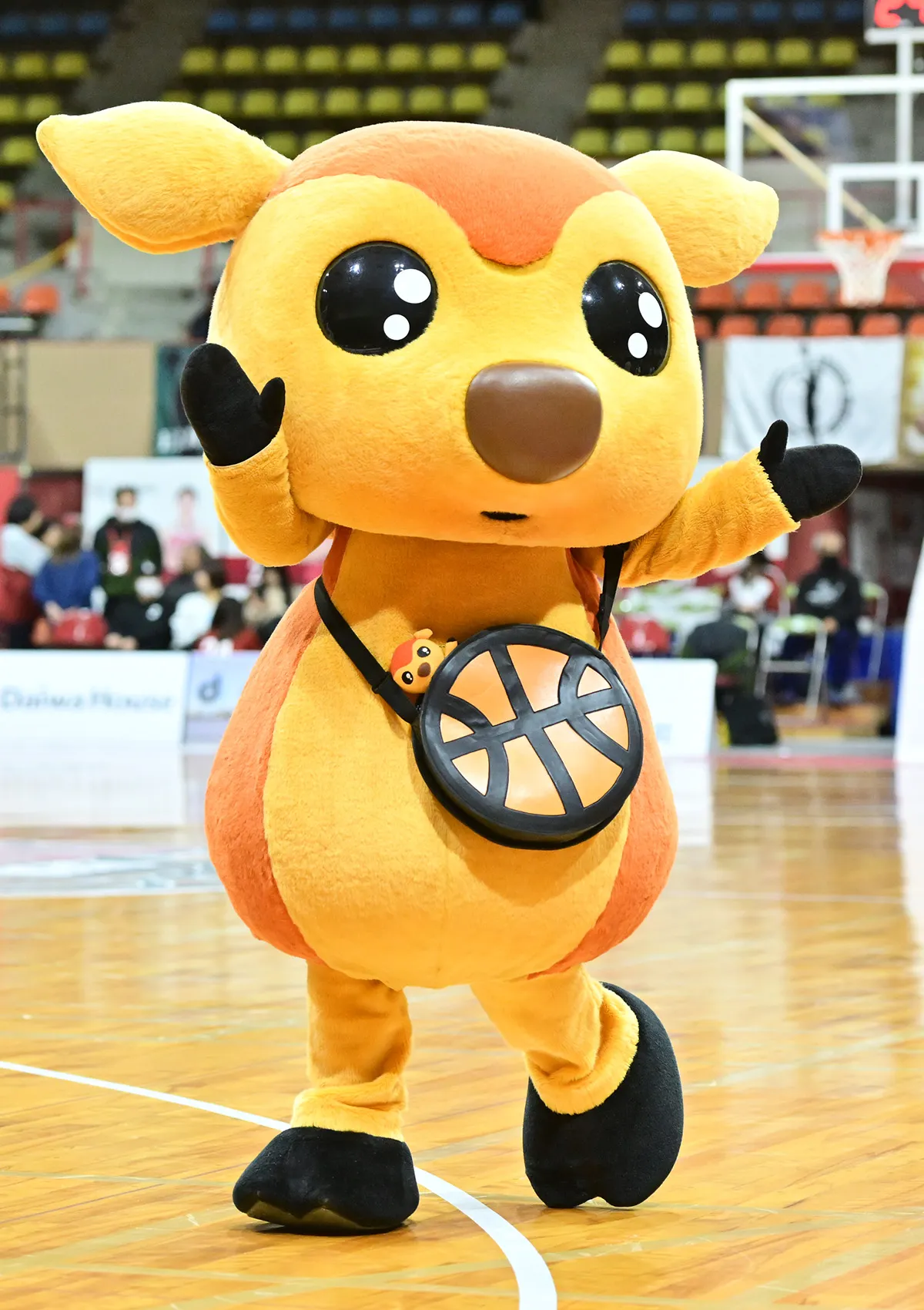 マスコットの試合の様子