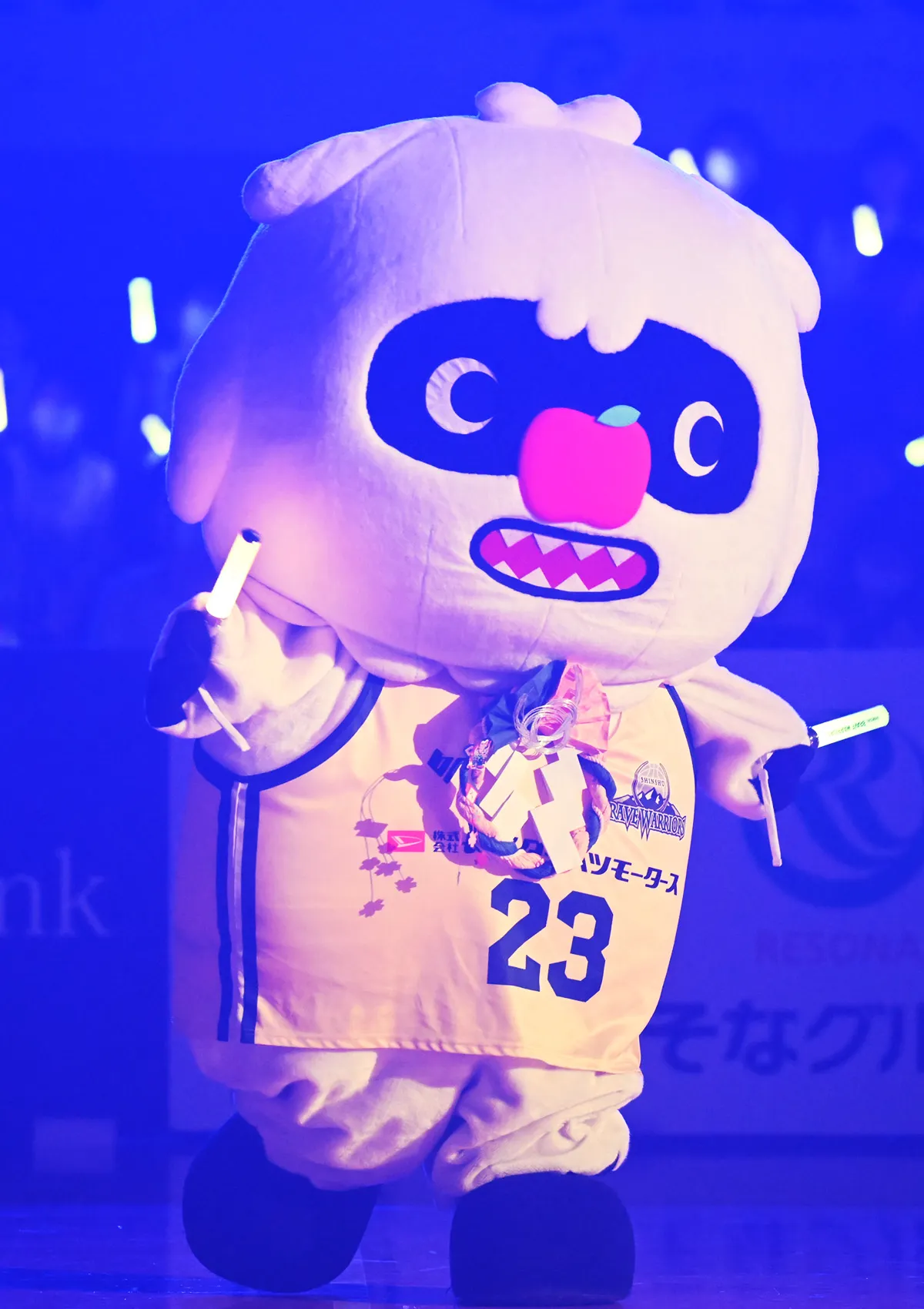 マスコットの試合の様子