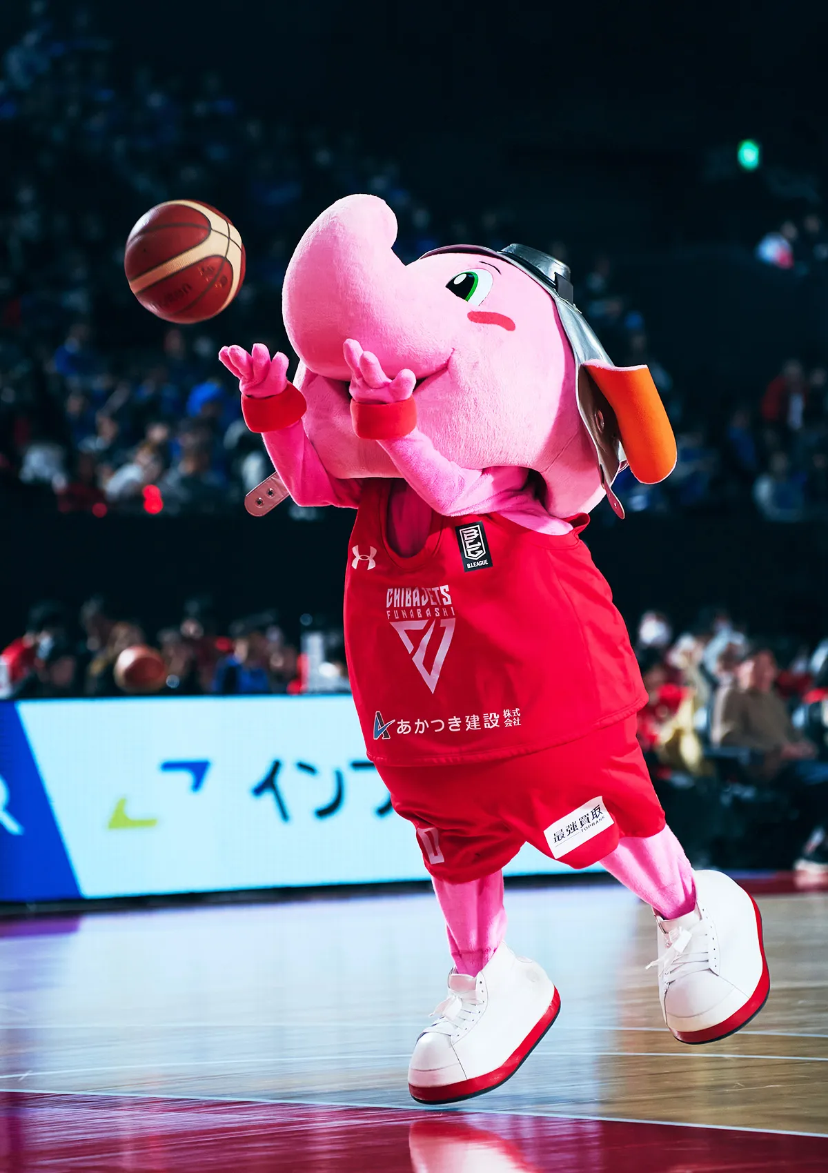 マスコットの試合の様子