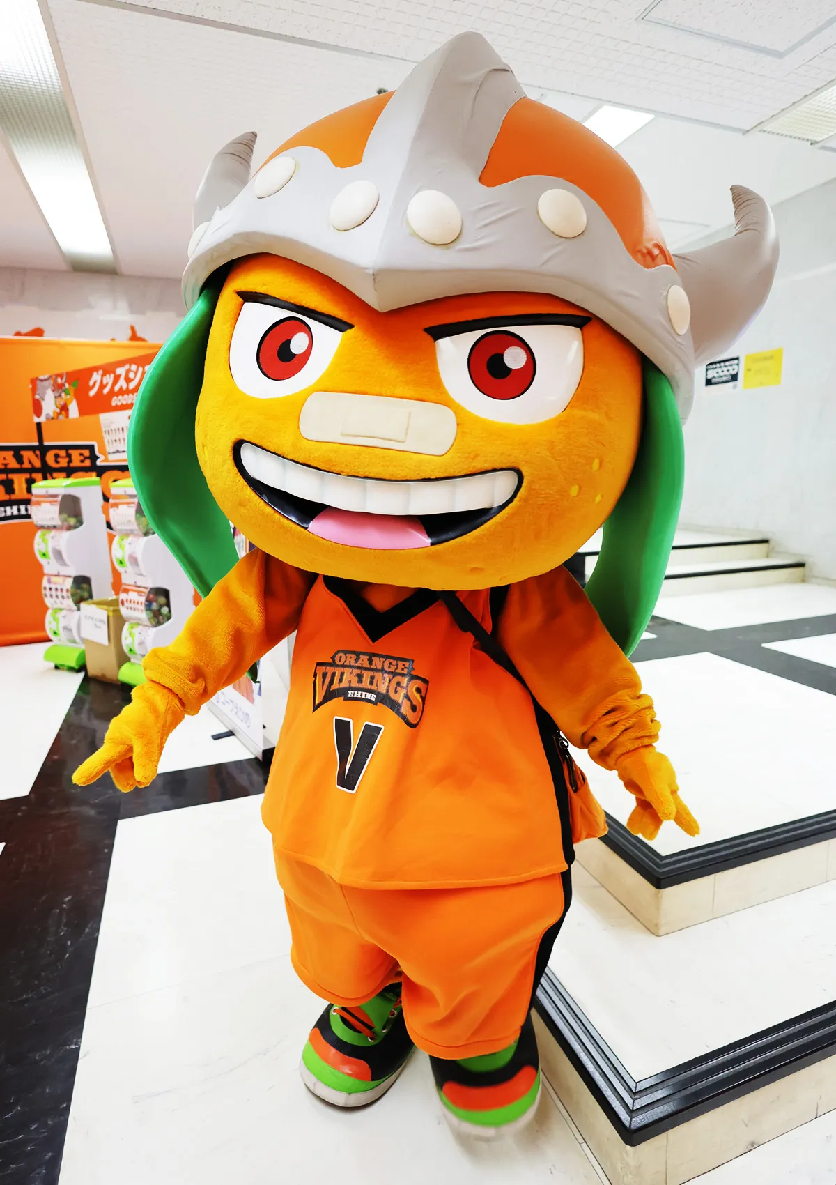 マスコットの試合の様子