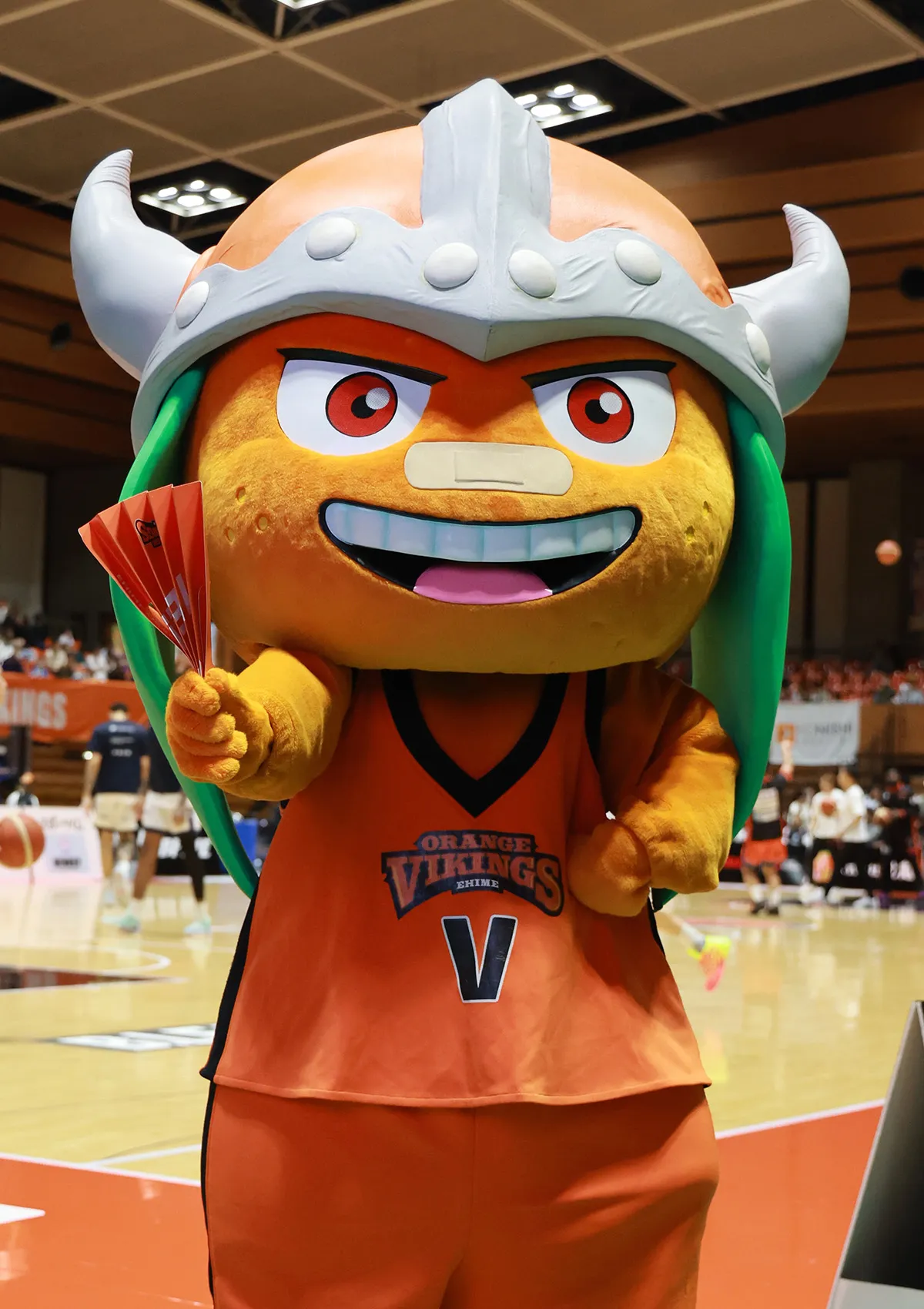 マスコットの試合の様子