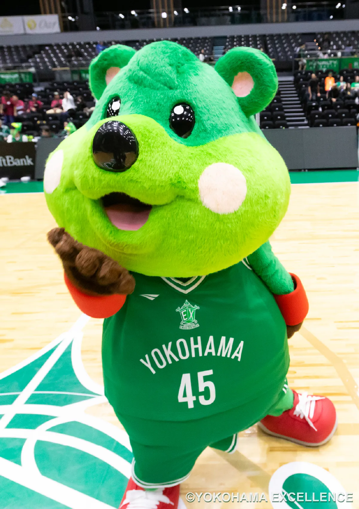 マスコットの試合の様子