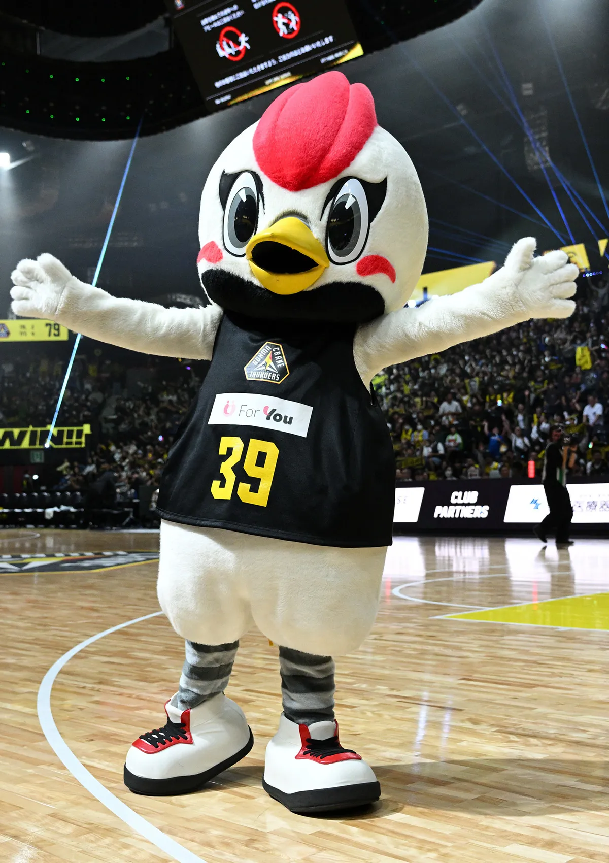 マスコットの試合の様子