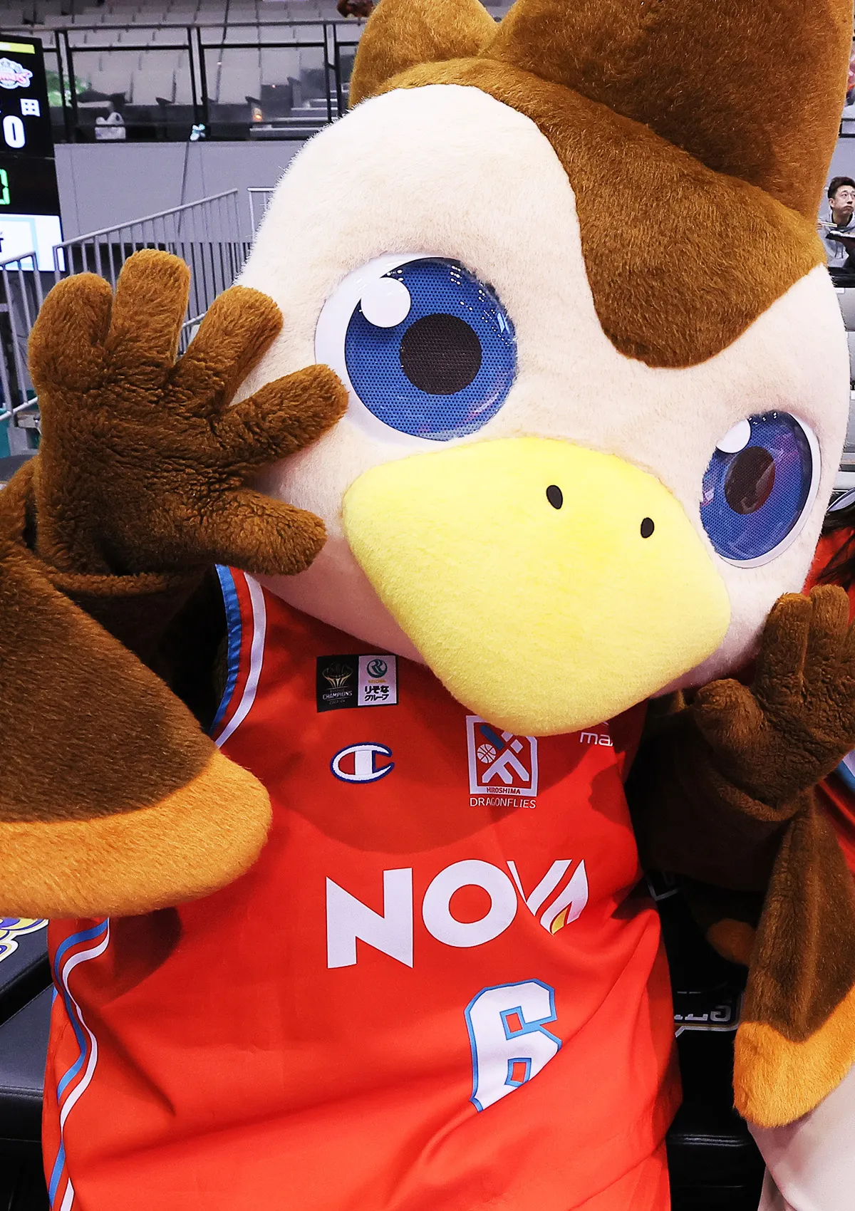 マスコットの試合の様子