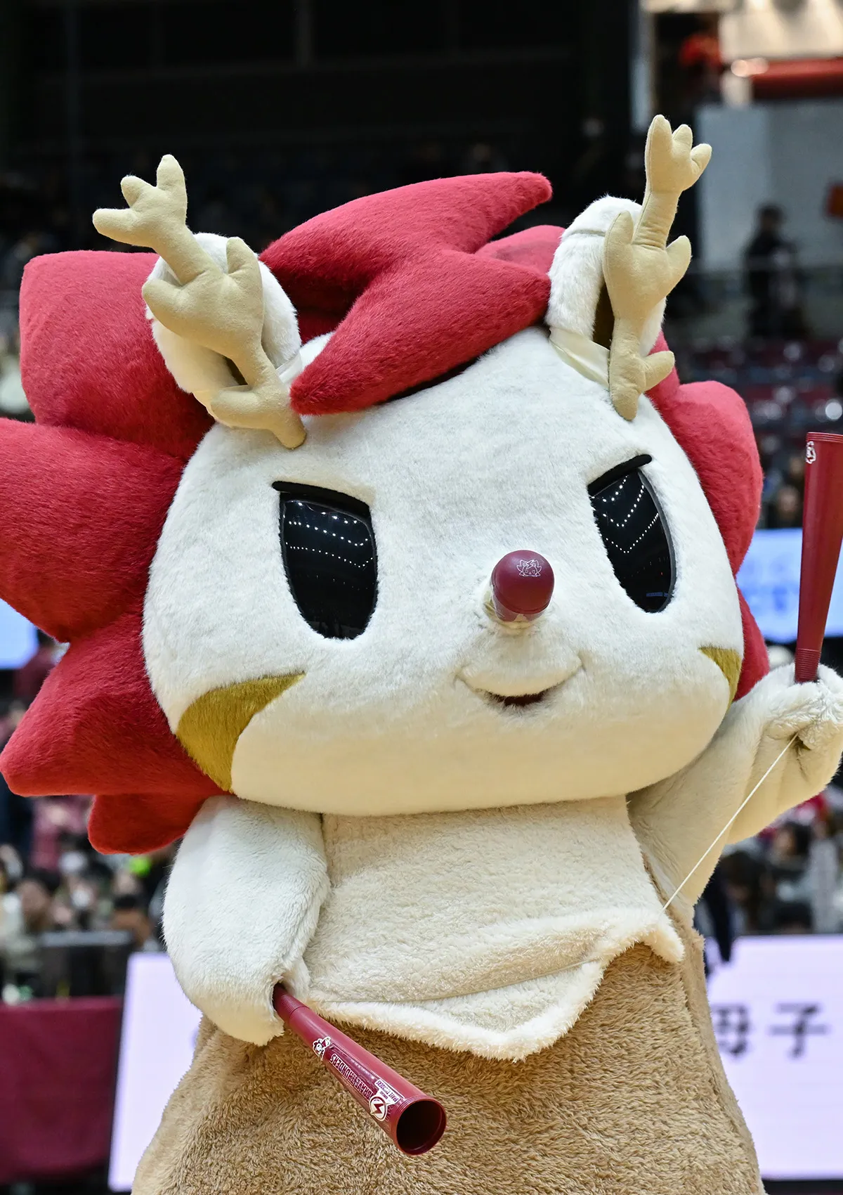 マスコットの試合の様子
