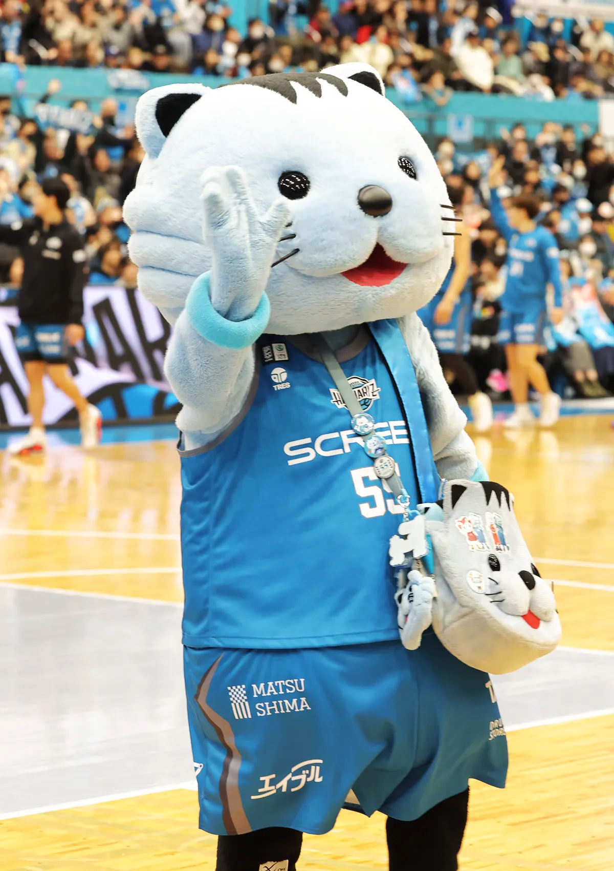 マスコットの試合の様子