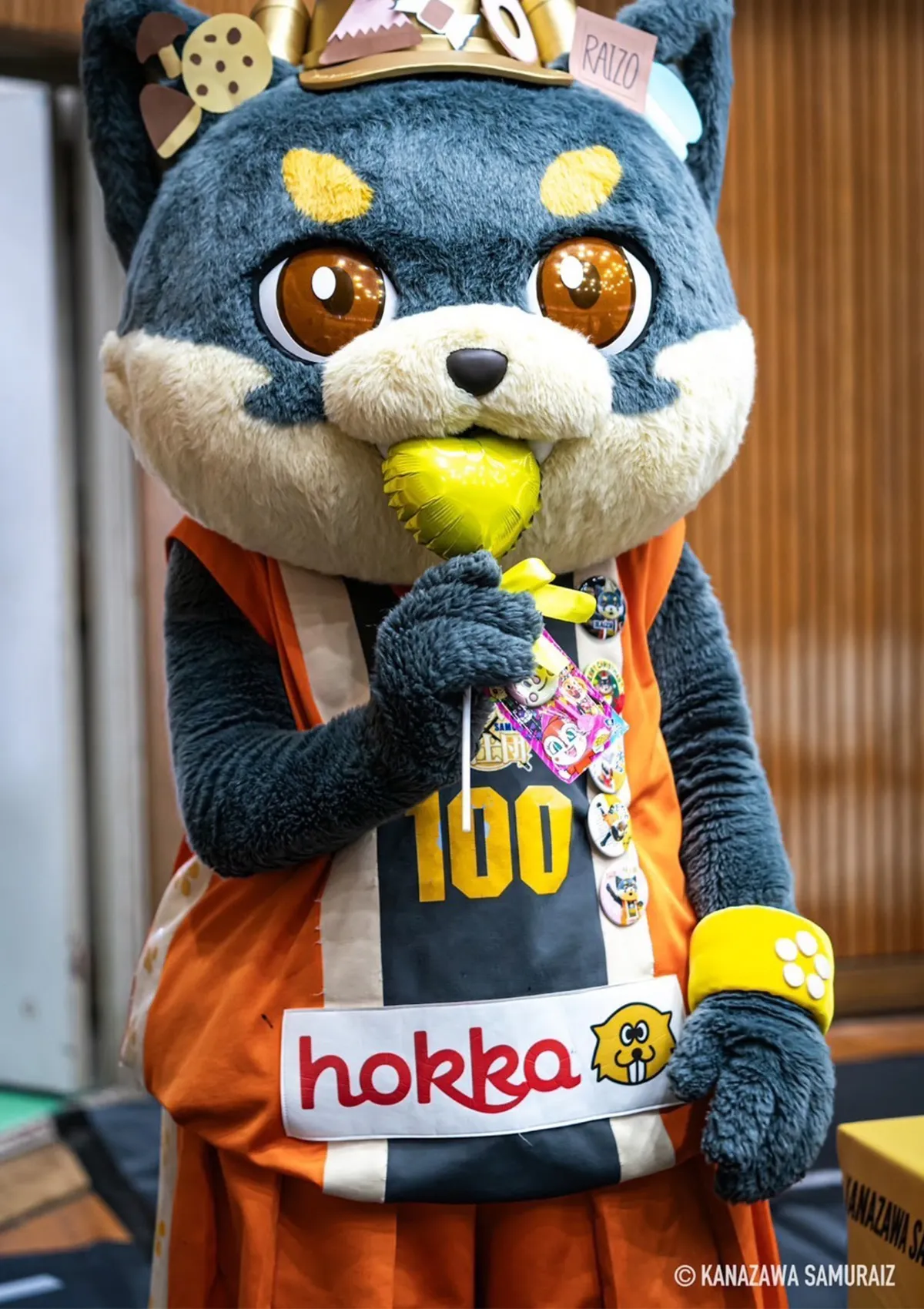 マスコットの試合の様子