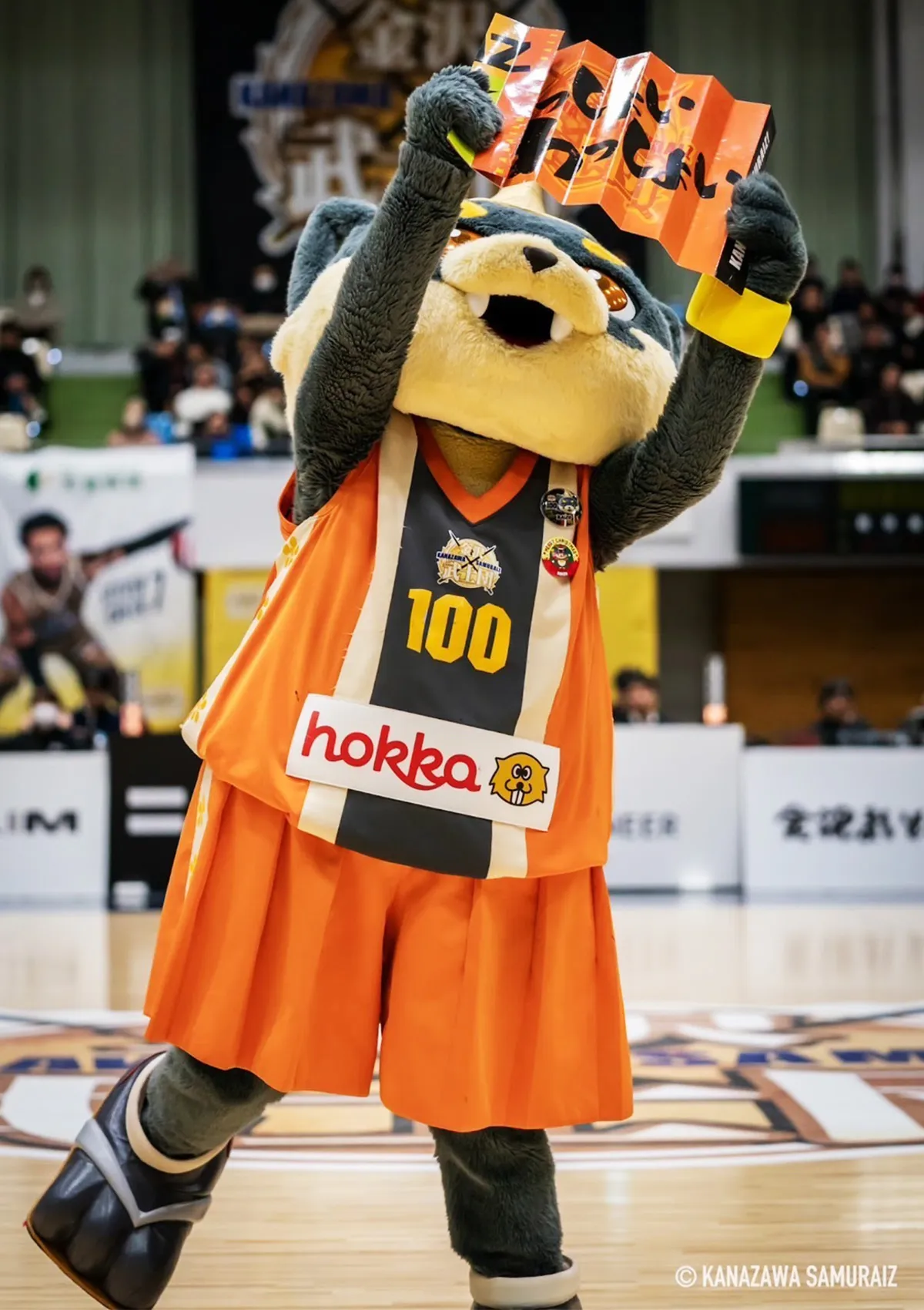 マスコットの試合の様子