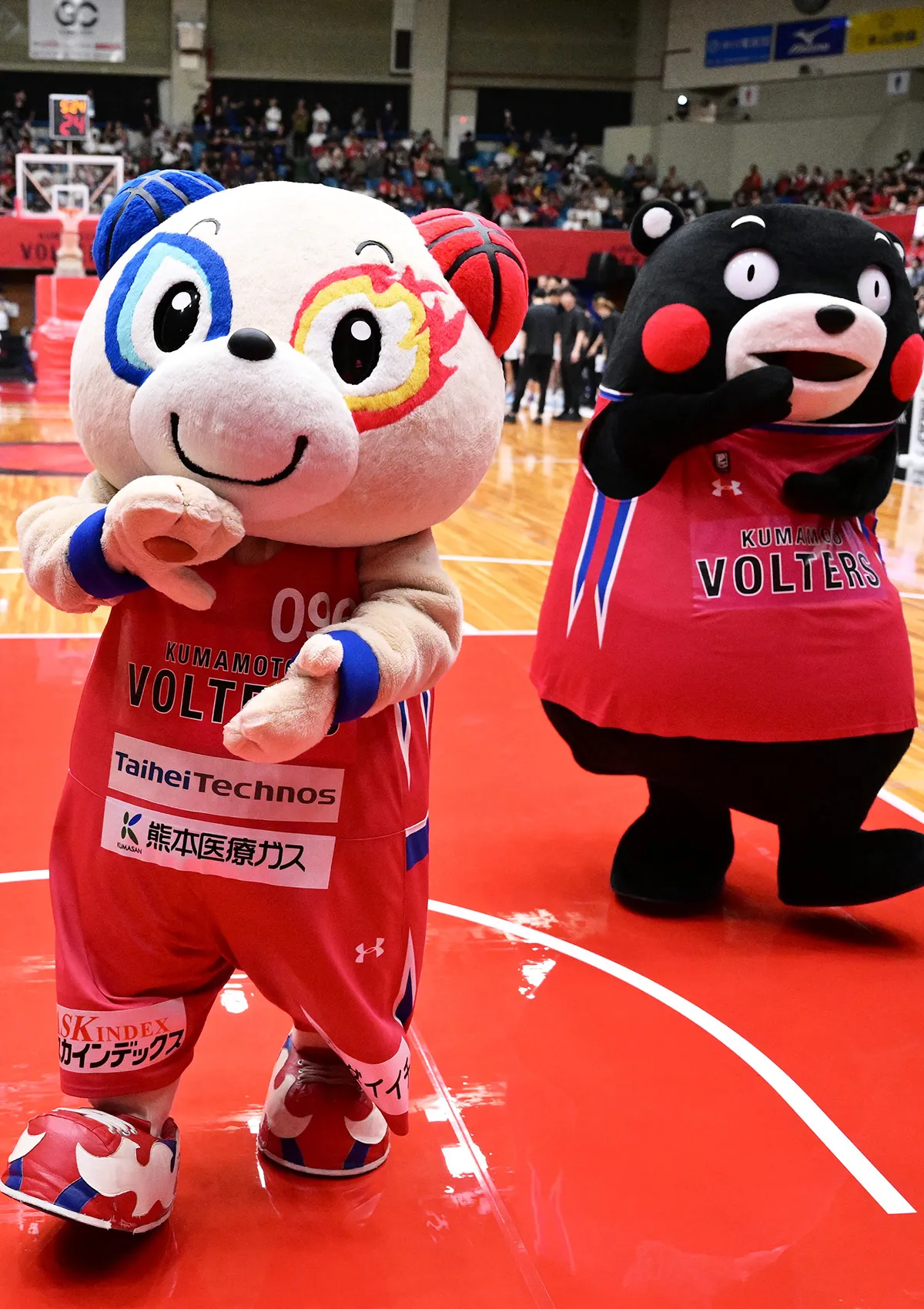 マスコットの試合の様子