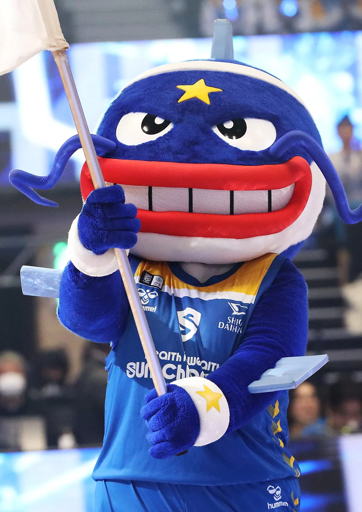 マスコットの試合の様子