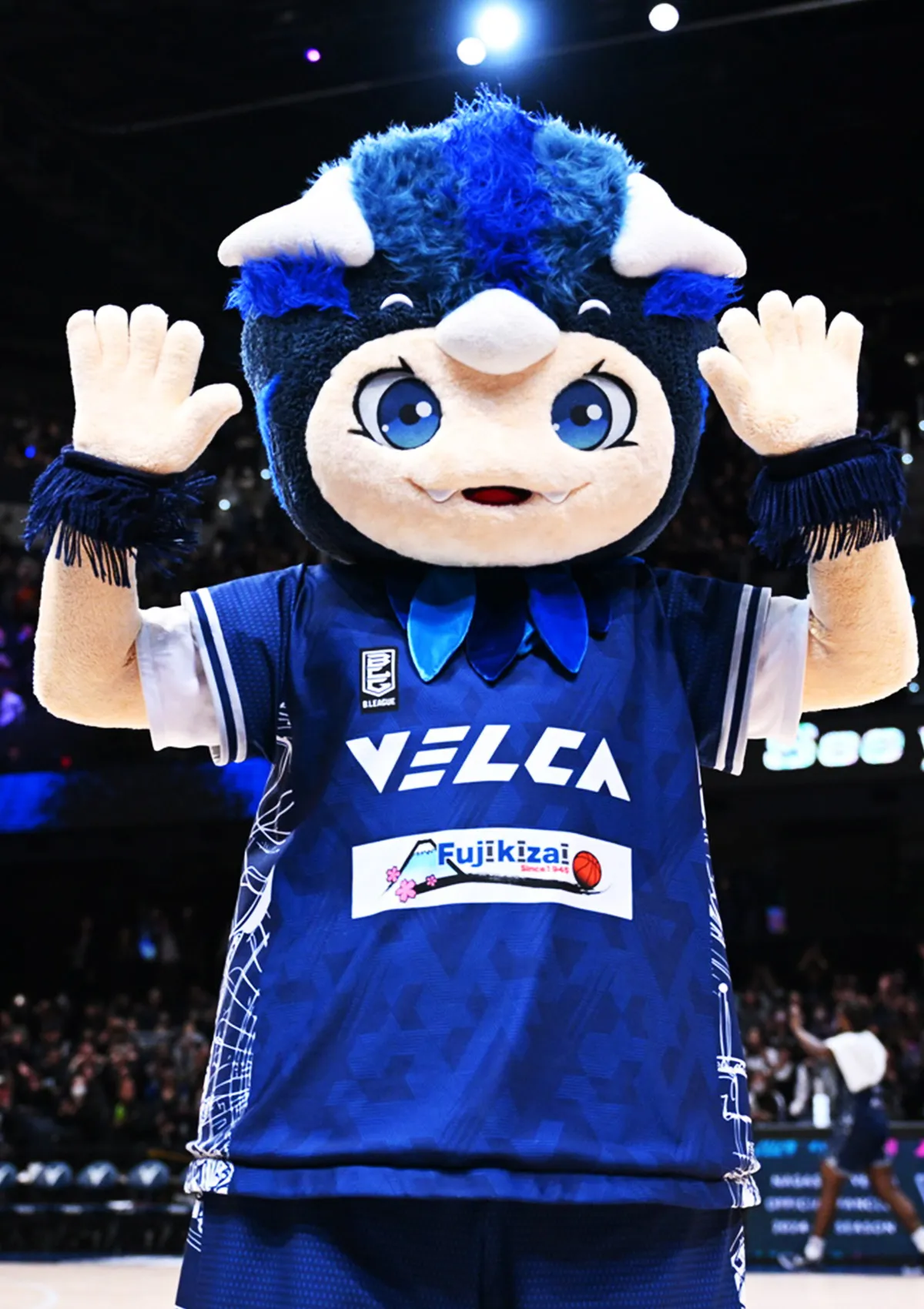 マスコットの試合の様子