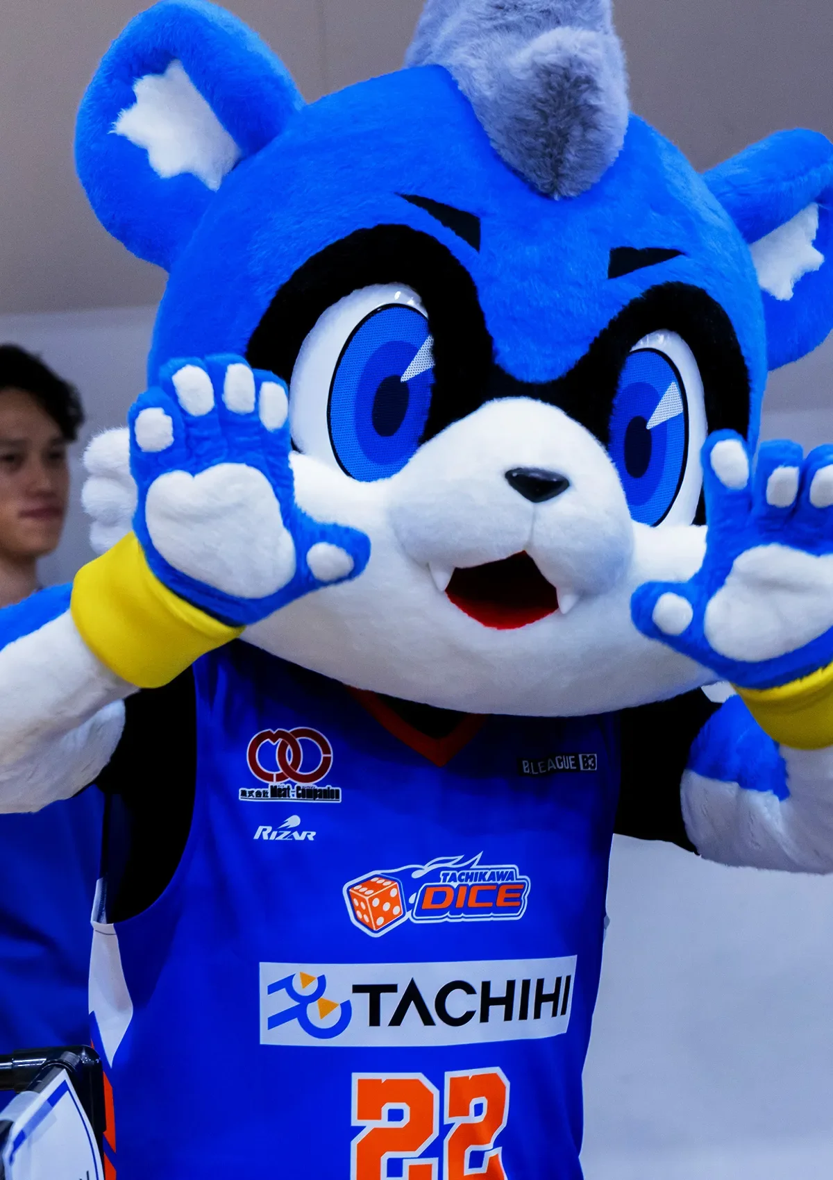 マスコットの試合の様子