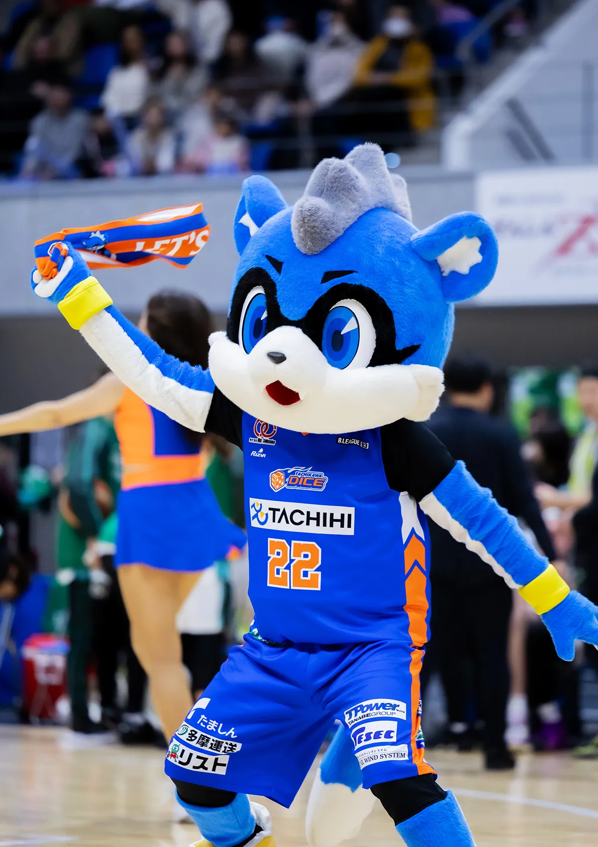 マスコットの試合の様子