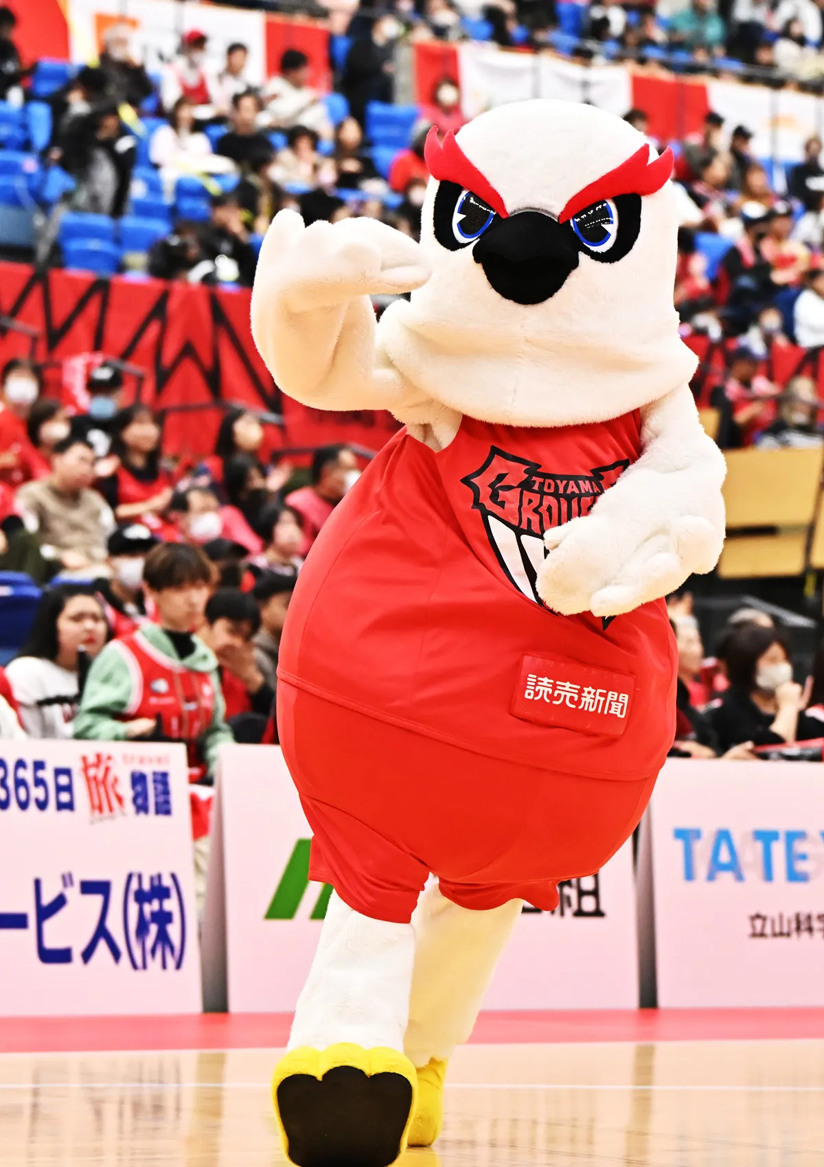 マスコットの試合の様子