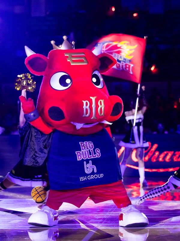 BULLZO